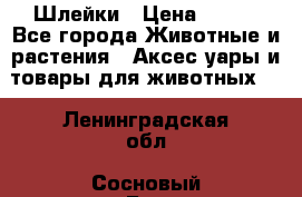 Шлейки › Цена ­ 800 - Все города Животные и растения » Аксесcуары и товары для животных   . Ленинградская обл.,Сосновый Бор г.